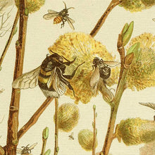 Load image into Gallery viewer, Honey Bee On Pussy Willow in Springtime