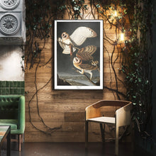 Load image into Gallery viewer, James John Audubon Barn Owl Fine Art Print Framed & Hanging In A Waiting Area