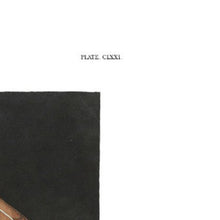 Load image into Gallery viewer, Barn Owl John James Audubon Scientific Illustration Reproduction Print Page Title