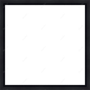 Empty frame for canvas or panel