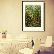 Load image into Gallery viewer, Ernst Haeckel Forest Moss Plate 72 Print Hanging In A Conference Room
