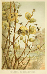 Honeybees on Pussywillow Giclee Print